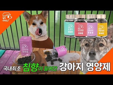 [제품협찬] 댕이수랏간 침향이 들어간 강아지 영양제