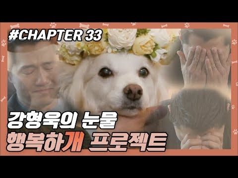 CHAPTER 33 | 강형욱의 눈물.. 행복하'개' 프로젝트 !! #강형욱 #개통령 #개훈련사 [개는 훌륭하다] ㅣ KBS방송