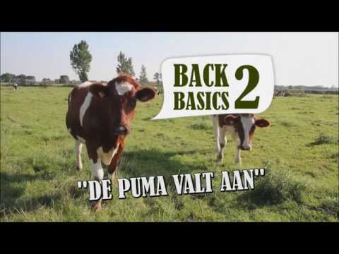 Back 2 Basics - \ Back 2 Basics - \