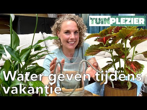 Water geven tijdens je vakantie | Tuinplezier Water geven tijdens je vakantie | Tuinplezier
