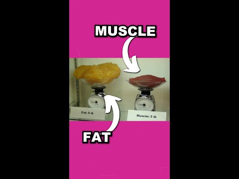 This is WHY you’re gaining weight when strength training. This is WHY you’re gaining weight when strength training.