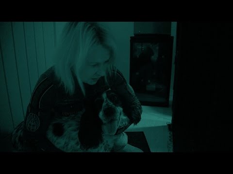 The night vision test - Cats v Dogs: Which is Best? Episode 1 Preview - BBC Two
