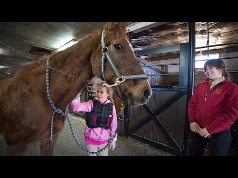 40 year old horse keeps kids happy